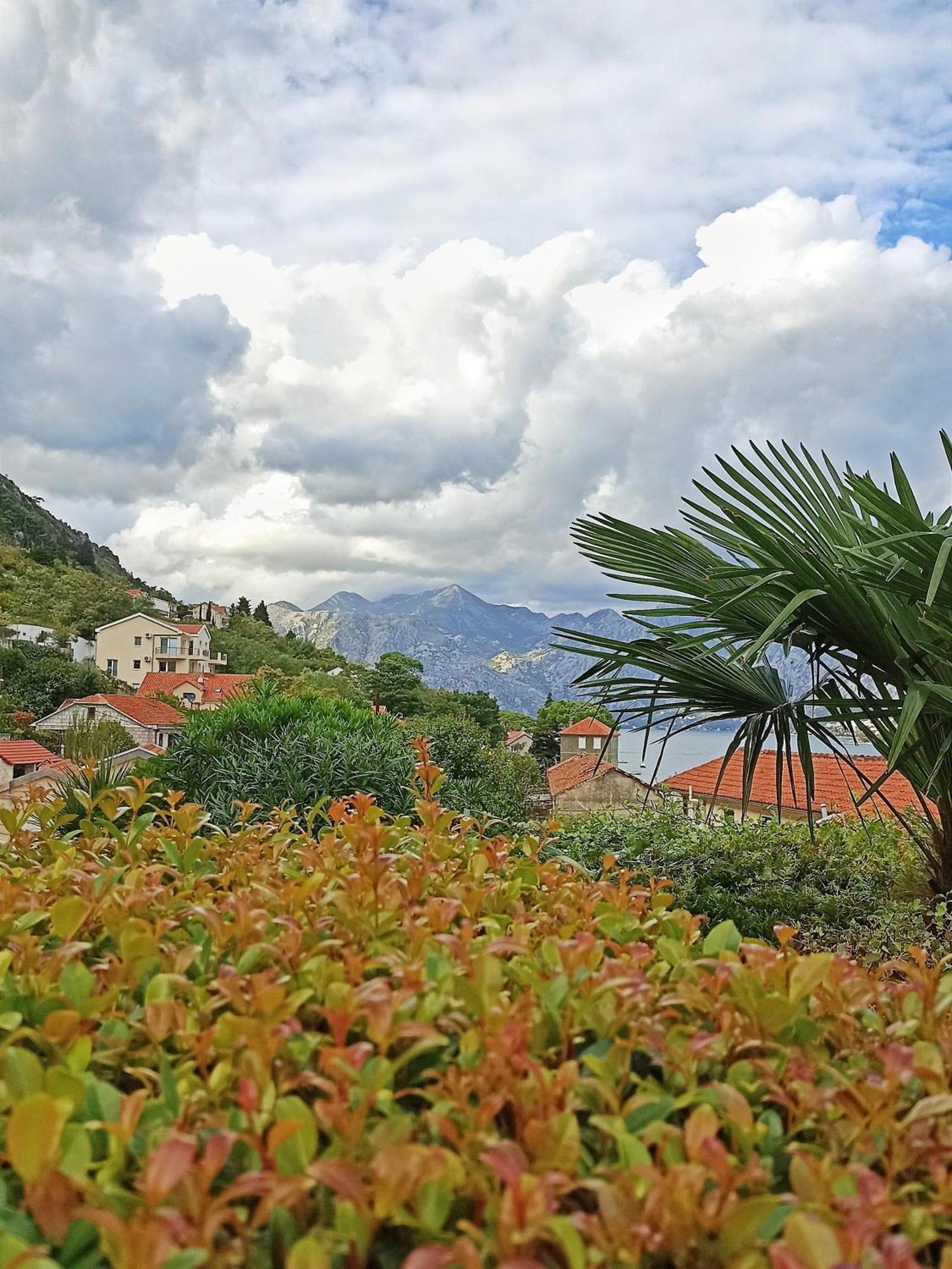 Apartment Kotor Eksteriør bilde